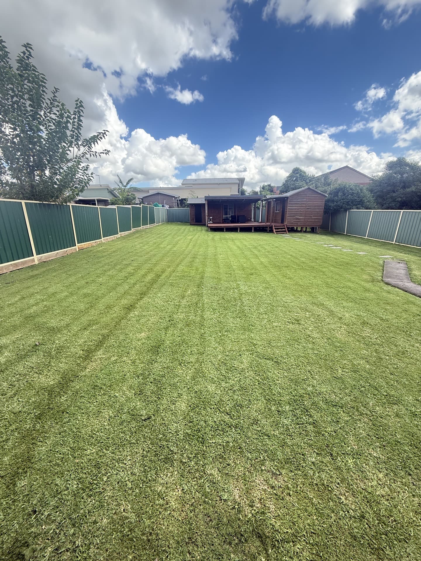 Lawn mow & edge — after