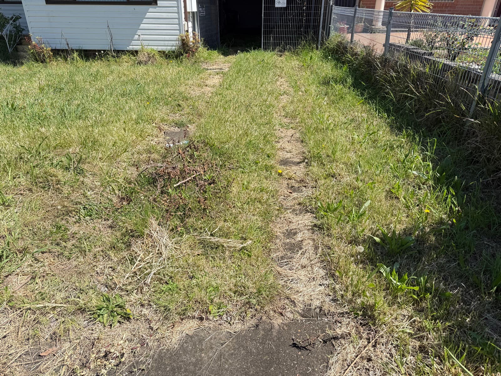 Autumn Lawn Prep Sydney: 6 Things to Do Before Winter — XSCAPE Pressure & Lawn Sydney guide