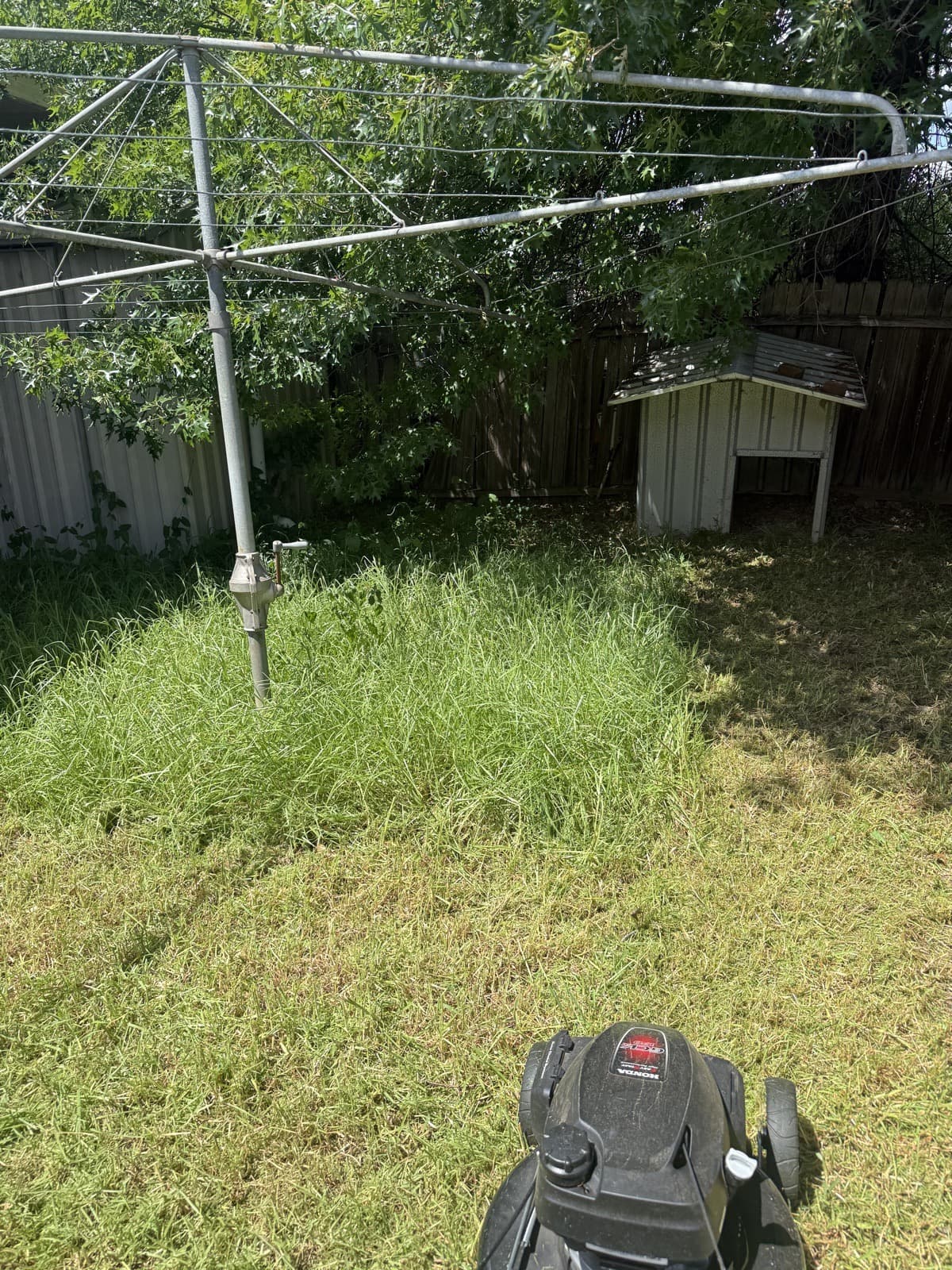 Garden tidy — before