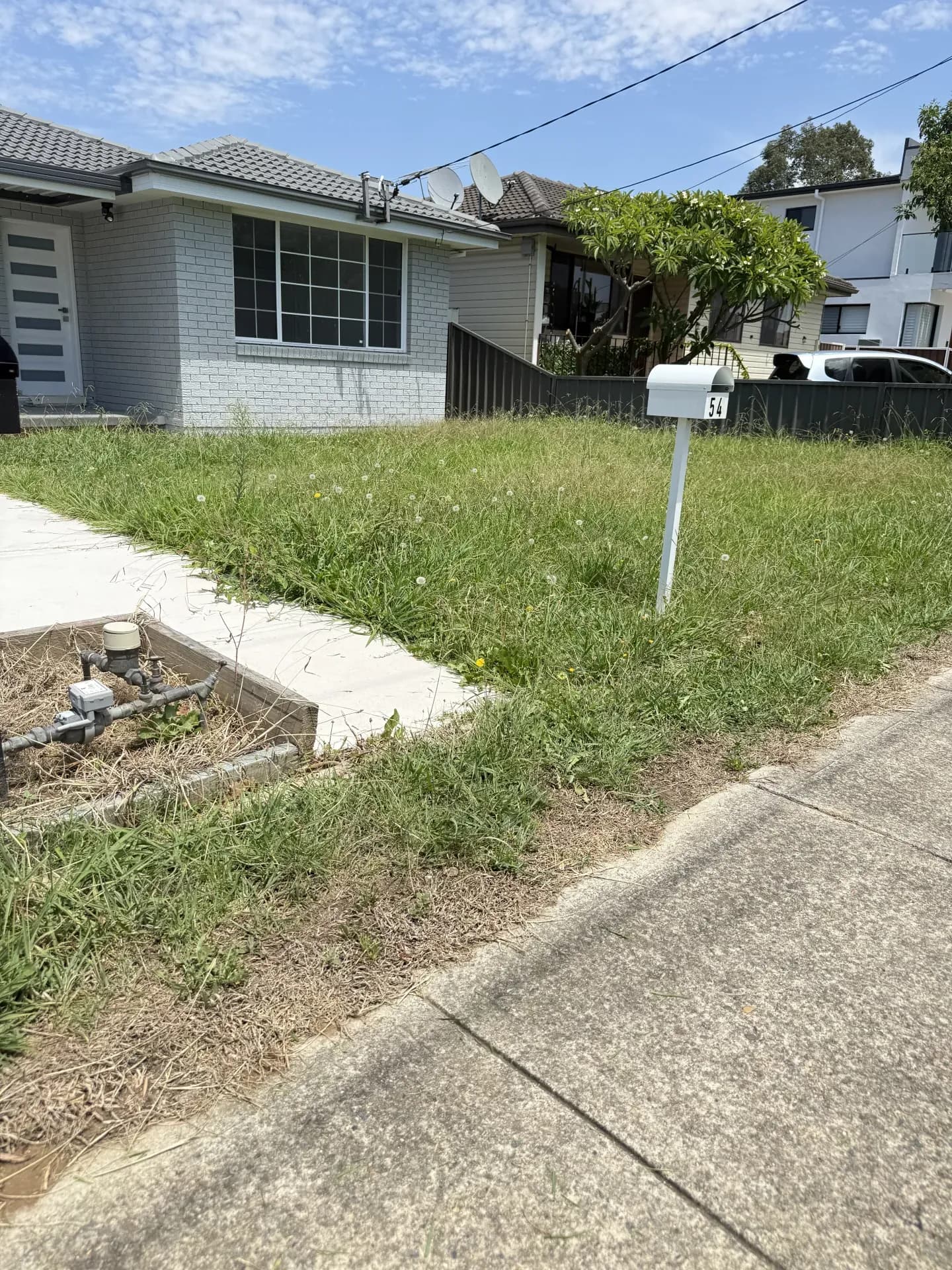 Overgrown lawn restored — before