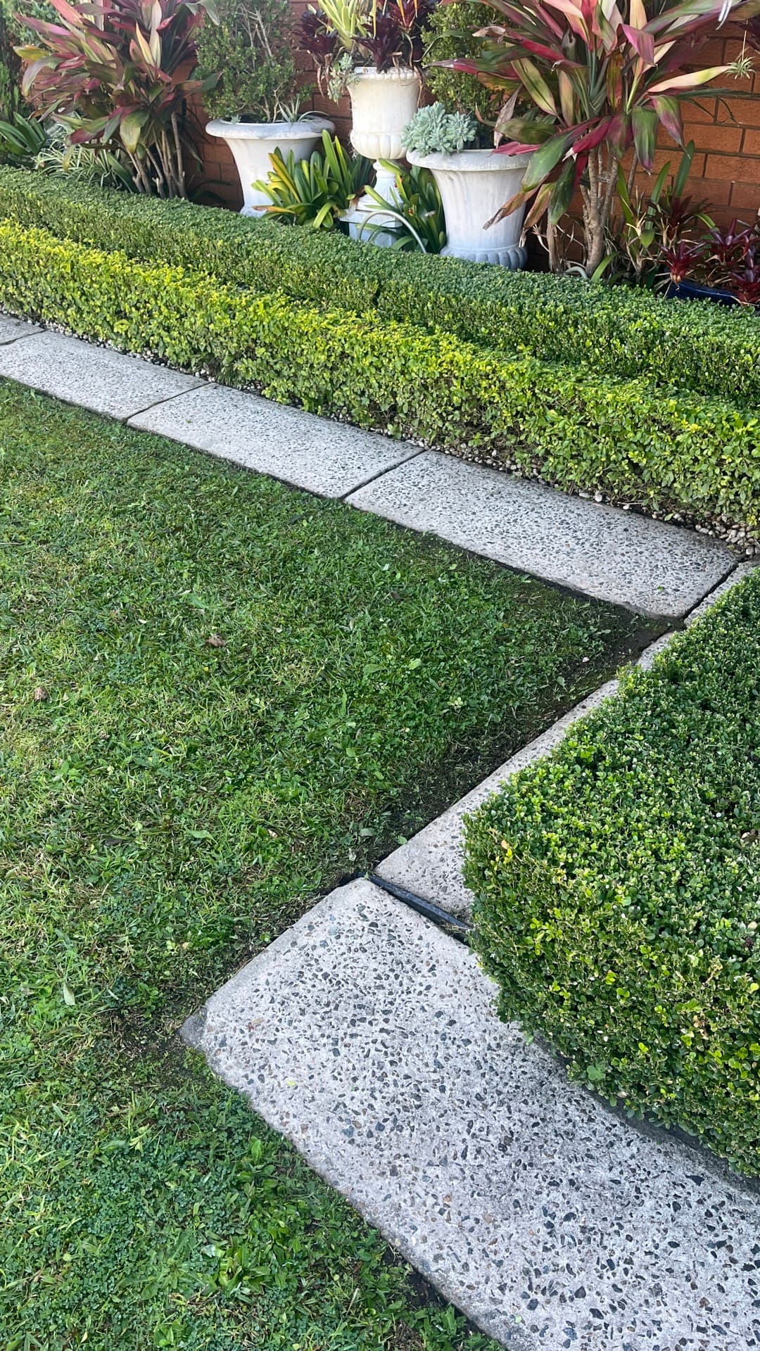 Garden tidy — after
