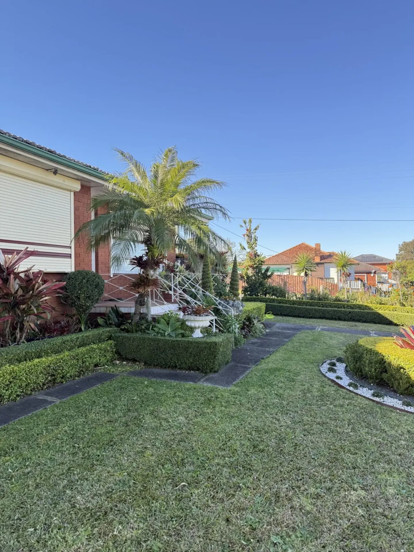 Freshly mowed striped Sydney backyard lawn after XSCAPE lawn and garden care visit